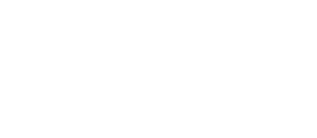 Logo_pleinhotel_w