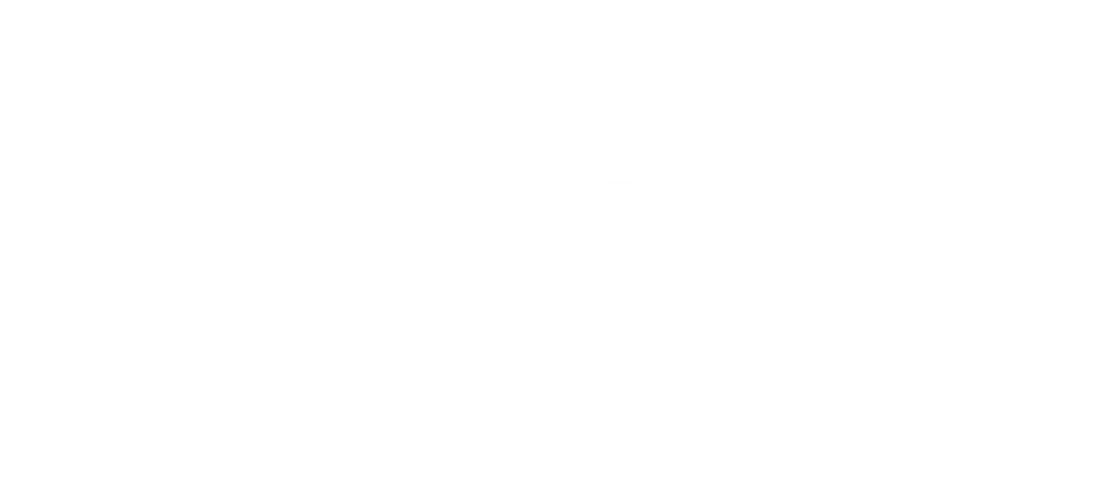 Logo_pleinhotel_w